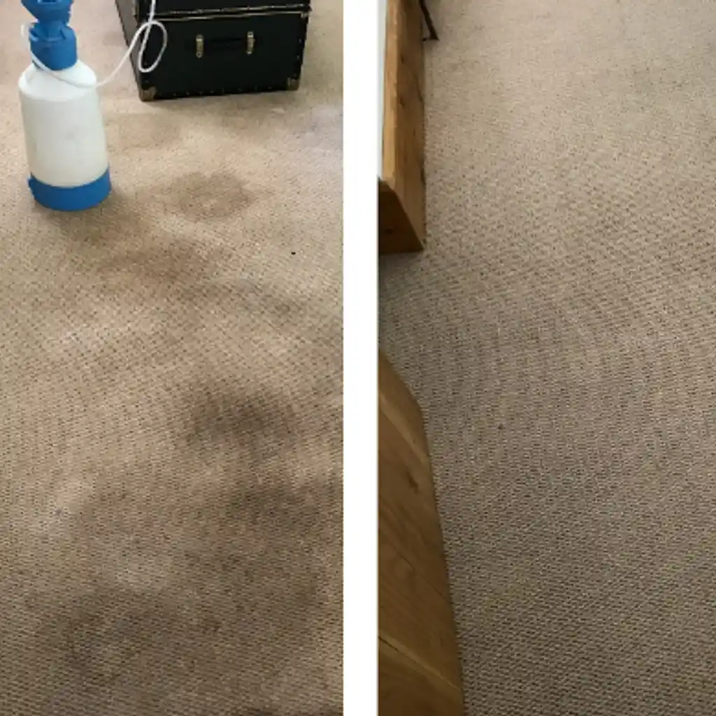 Carpet Cleaning Examples